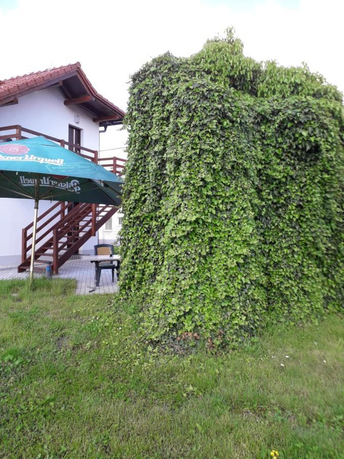 Penzion A Restaurace U Strnada Клатови Екстер'єр фото